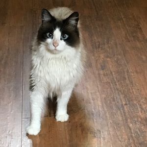 Meet your Posher, Tamyra